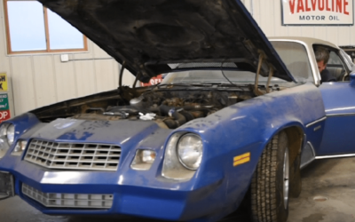 Preservation or Restoration